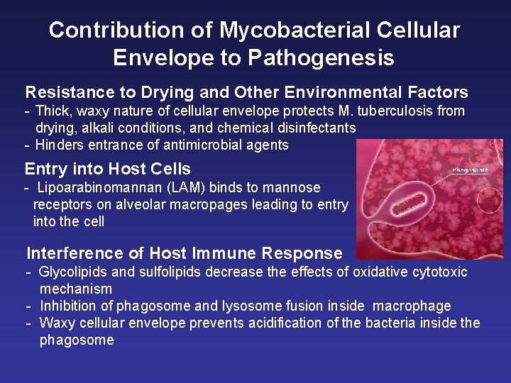 Contribution of Mycobacterial Cellular Envelope to Pathogenesis Resistance to Drying and Other Environmental Factors