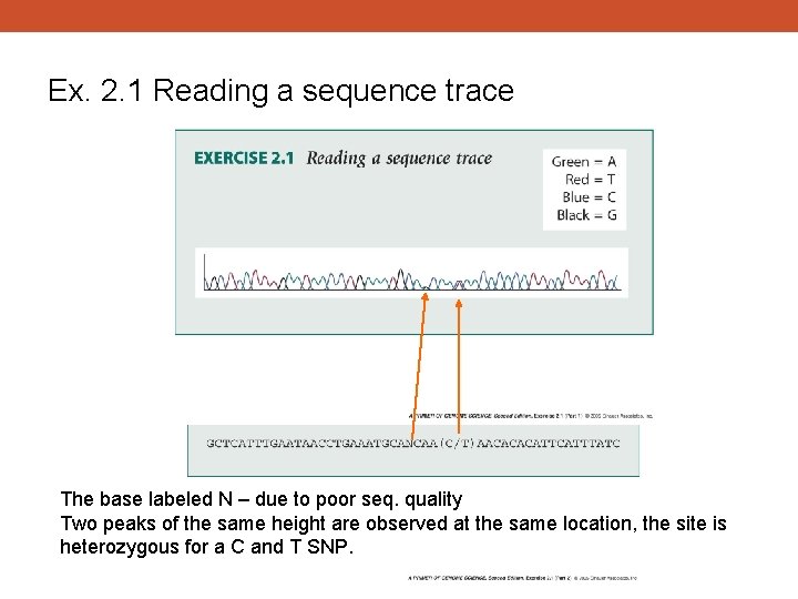 Ex. 2. 1 Reading a sequence trace The base labeled N – due to