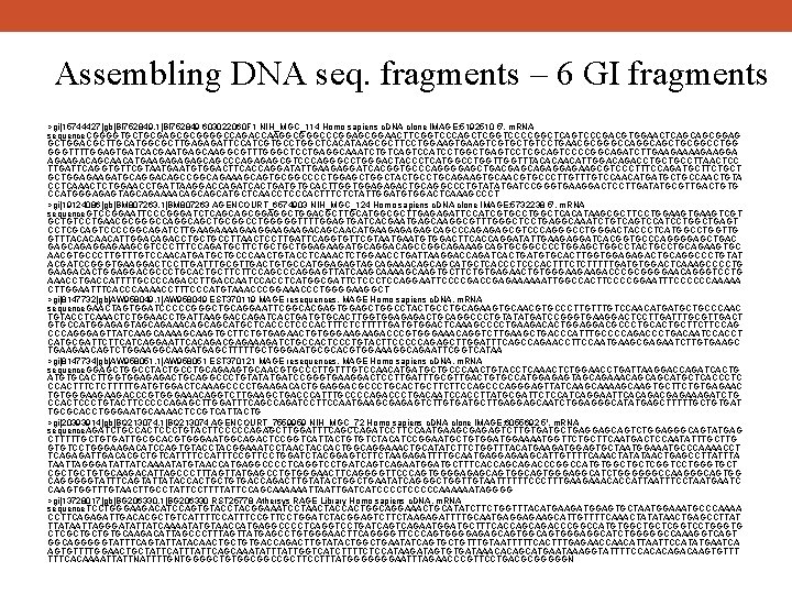 Assembling DNA seq. fragments – 6 GI fragments >gi|15744427|gb|BI 752849. 1|BI 752849 603022060 F