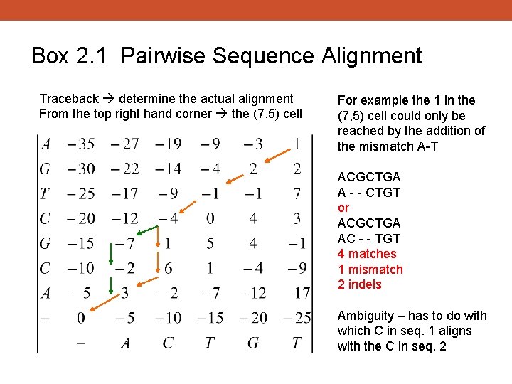 Box 2. 1 Pairwise Sequence Alignment Traceback determine the actual alignment From the top