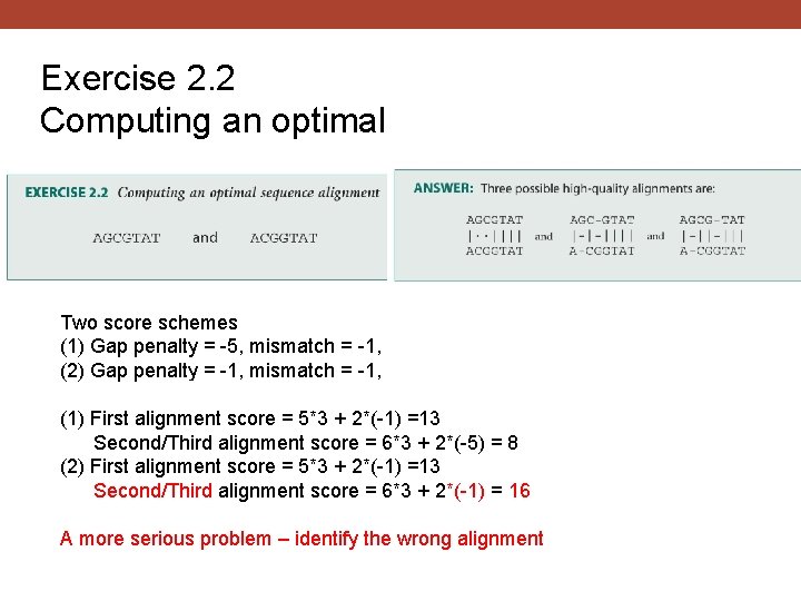 Exercise 2. 2 Computing an optimal sequence alignment Two score schemes (1) Gap penalty