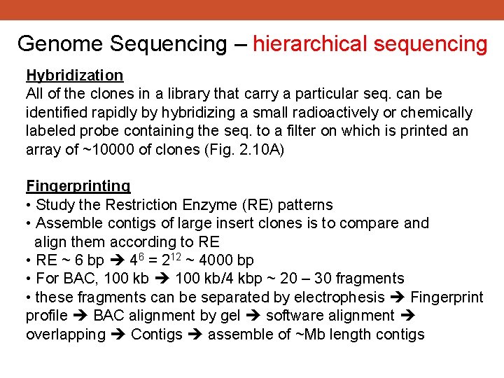 Genome Sequencing – hierarchical sequencing Hybridization All of the clones in a library that