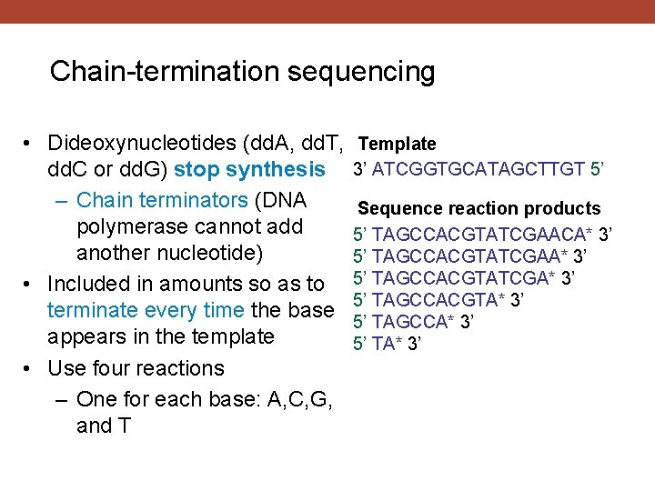 Chain-termination sequencing • Dideoxynucleotides (dd. A, dd. T, dd. C or dd. G) stop