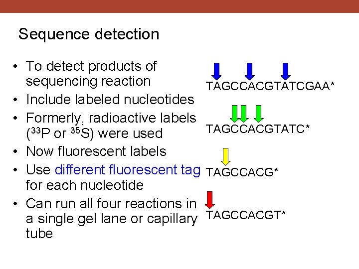 Sequence detection • To detect products of sequencing reaction • Include labeled nucleotides •