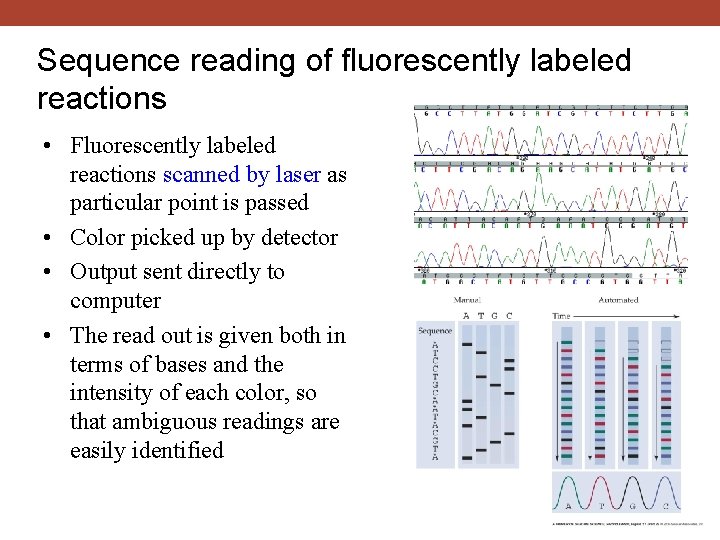 Sequence reading of fluorescently labeled reactions • Fluorescently labeled reactions scanned by laser as
