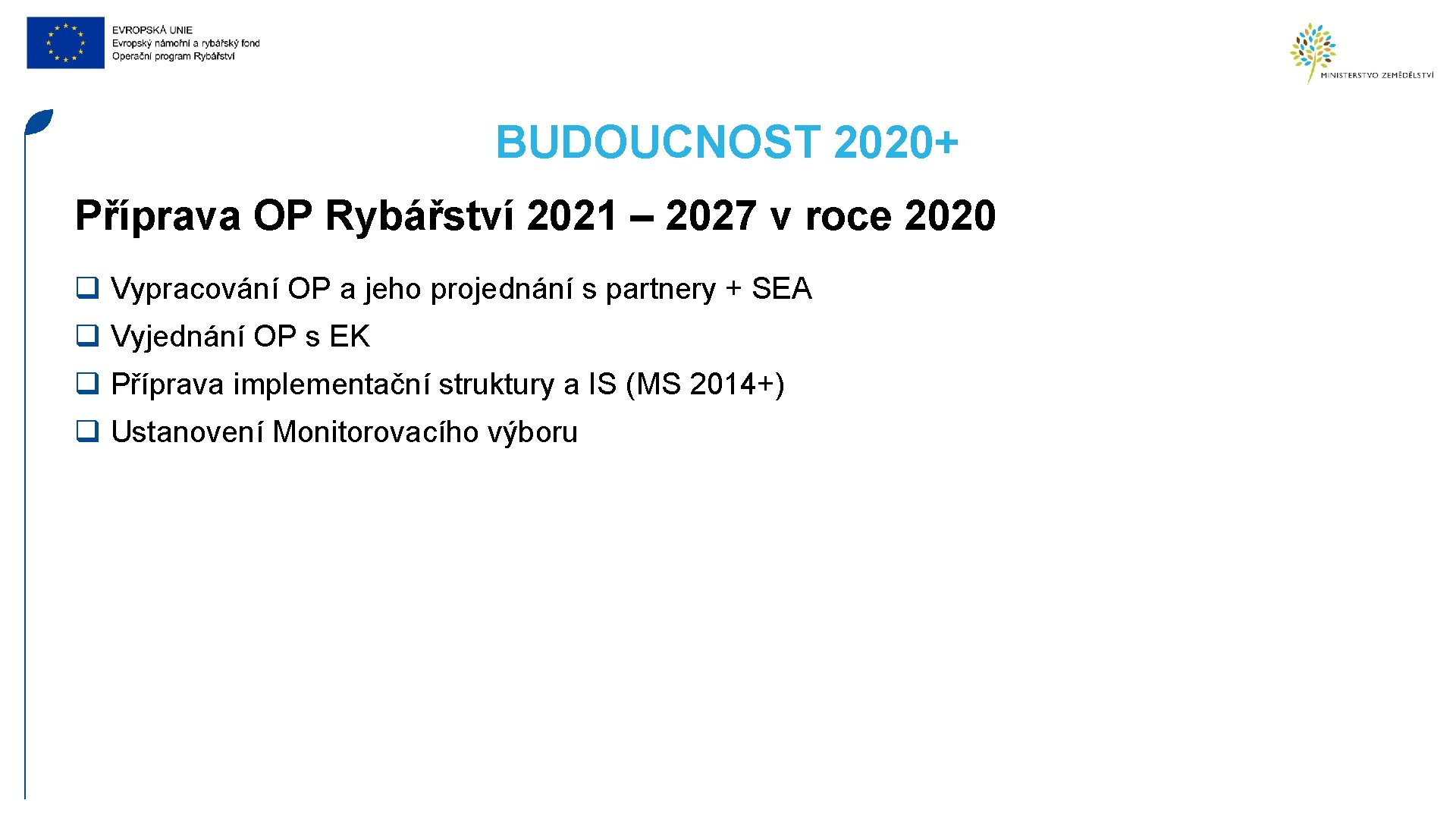 BUDOUCNOST 2020+ Příprava OP Rybářství 2021 – 2027 v roce 2020 q Vypracování OP