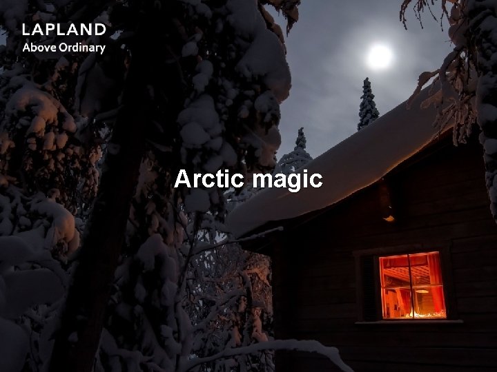 Arctic magic 