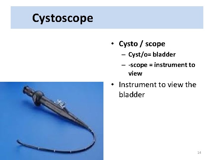 Cystoscope • Cysto / scope – Cyst/o= bladder – -scope = instrument to view