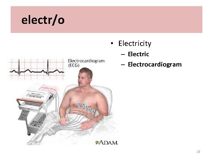 electr/o • Electricity – Electric – Electrocardiogram 15 