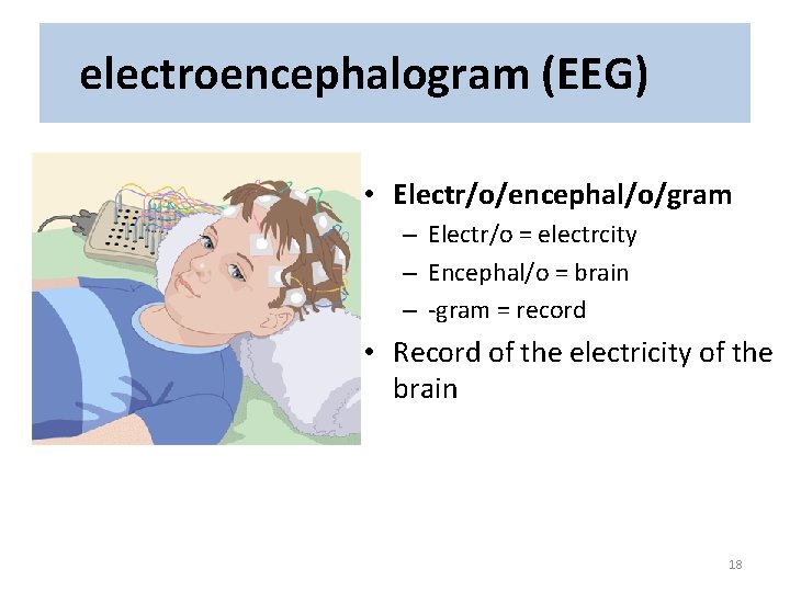 electroencephalogram (EEG) • Electr/o/encephal/o/gram – Electr/o = electrcity – Encephal/o = brain – -gram