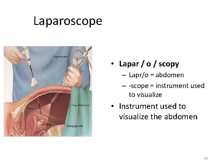 Laparoscope • Lapar / o / scopy – Lapr/o = abdomen – -scope =