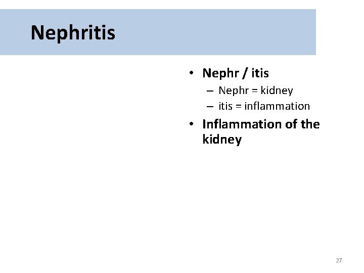 Nephritis • Nephr / itis – Nephr = kidney – itis = inflammation •