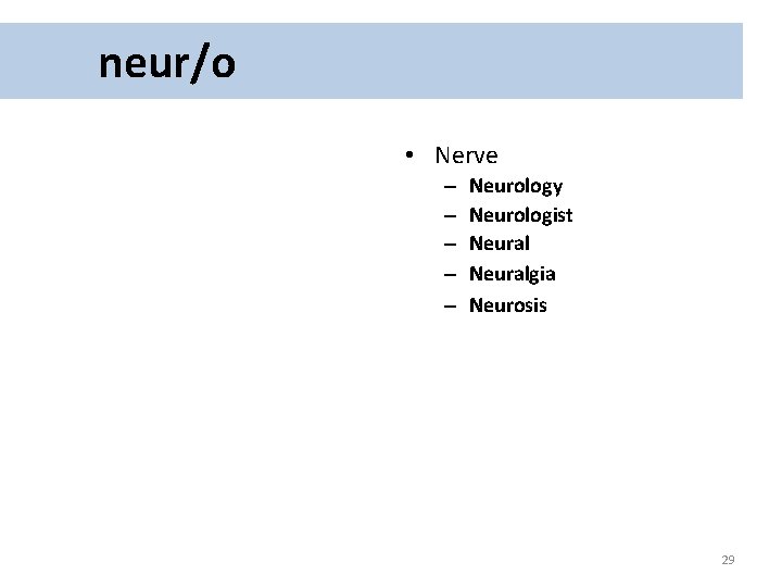 neur/o • Nerve – – – Neurology Neurologist Neuralgia Neurosis 29 