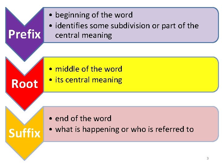 Prefix Root Suffix • beginning of the word • identifies some subdivision or part