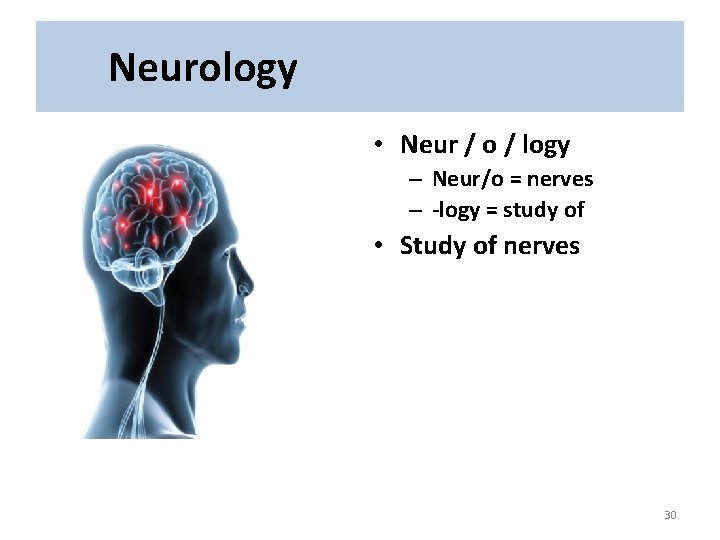 Neurology • Neur / o / logy – Neur/o = nerves – -logy =
