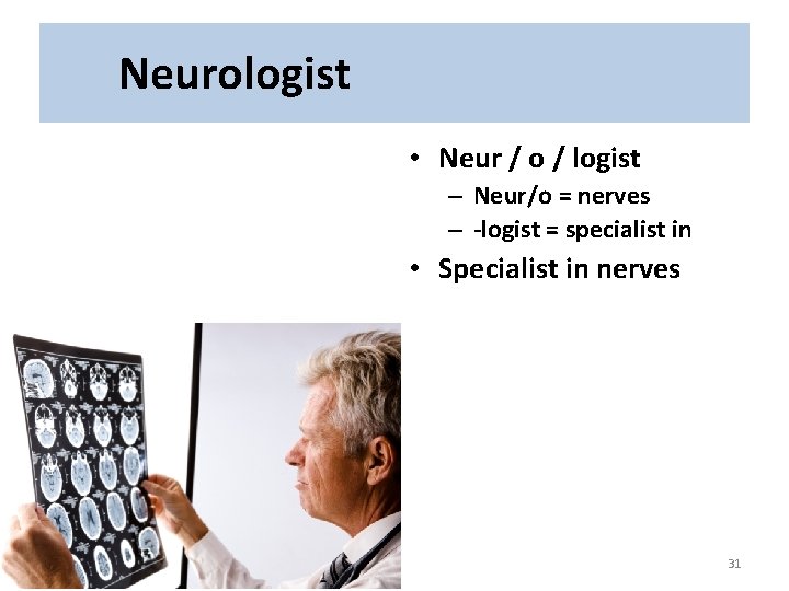 Neurologist • Neur / o / logist – Neur/o = nerves – -logist =