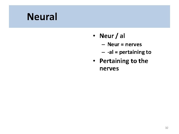 Neural • Neur / al – Neur = nerves – -al = pertaining to