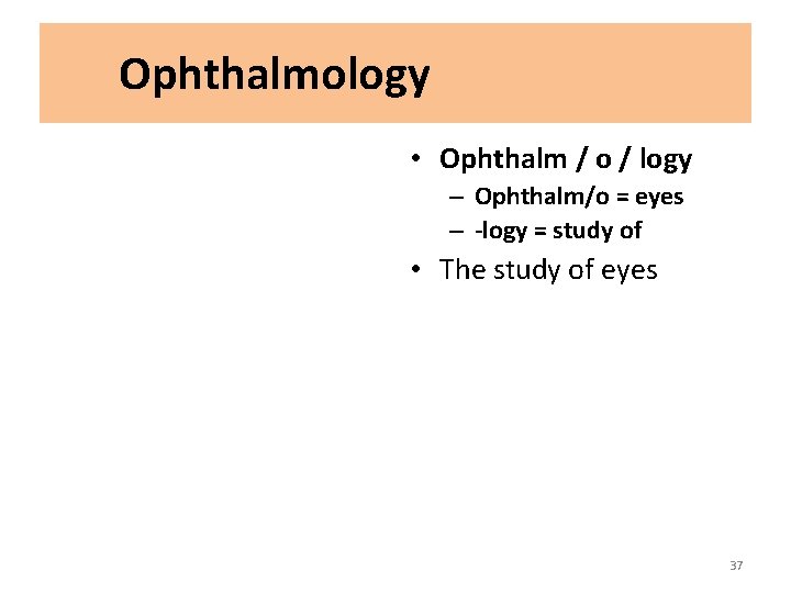 Ophthalmology • Ophthalm / o / logy – Ophthalm/o = eyes – -logy =