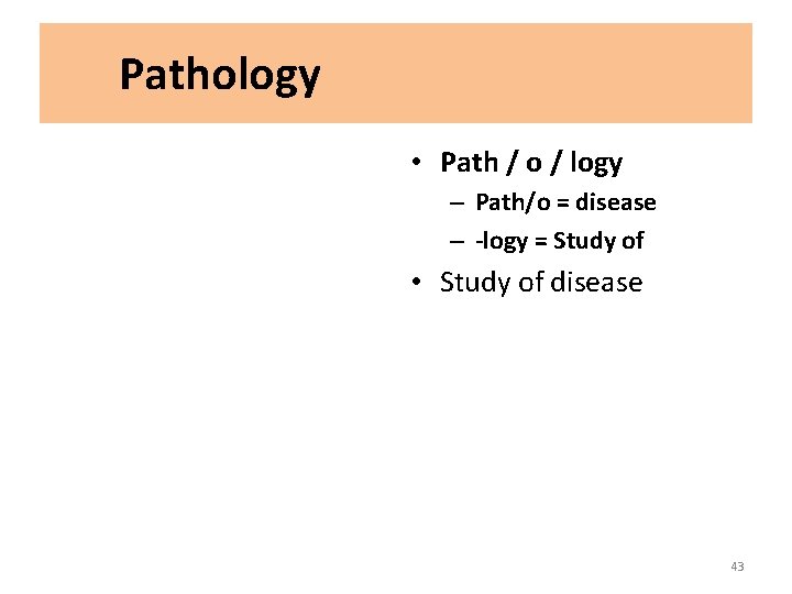 Pathology • Path / o / logy – Path/o = disease – -logy =
