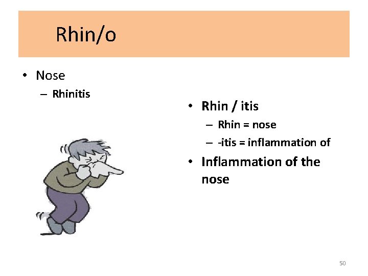 Rhin/o • Nose – Rhinitis • Rhin / itis – Rhin = nose –