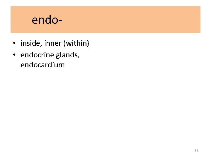 endo • inside, inner (within) • endocrine glands, endocardium 54 