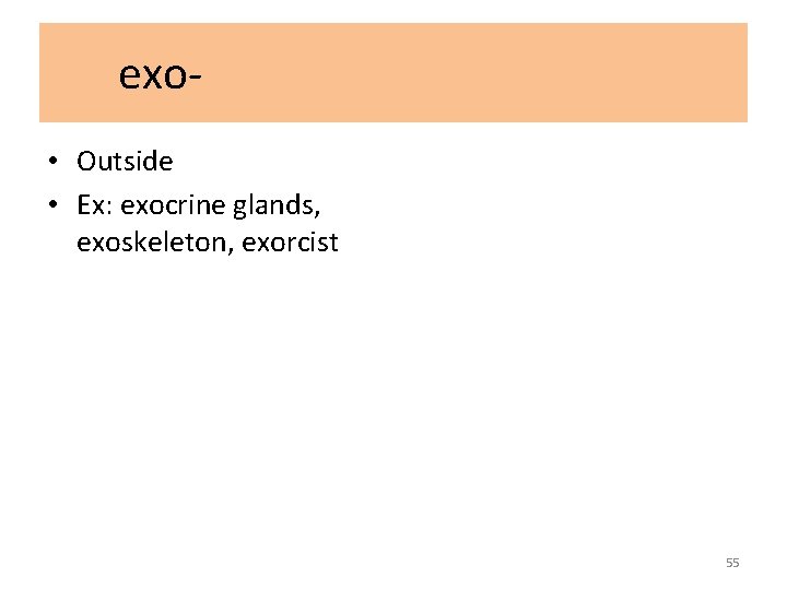 exo • Outside • Ex: exocrine glands, exoskeleton, exorcist 55 
