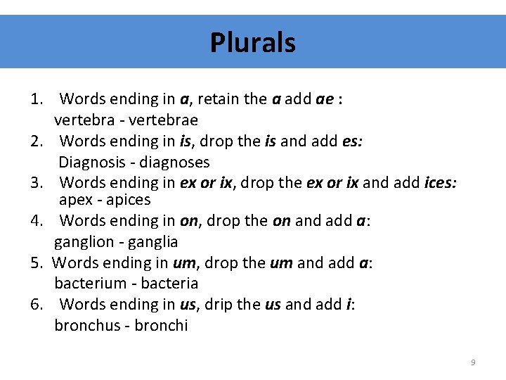 Plurals 1. Words ending in a, retain the a add ae : vertebra -