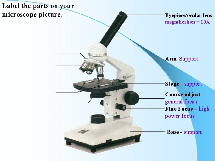 Label the parts on your microscope picture. Eyepiece/ocular lens magnification = 10 X Arm-Support