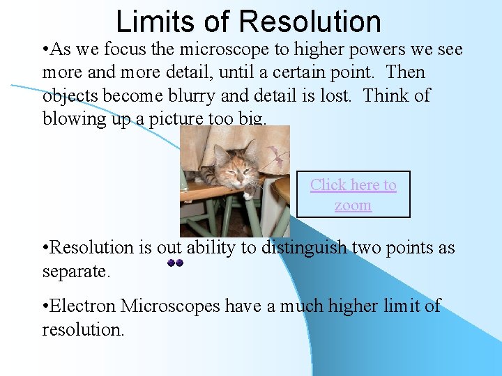 Limits of Resolution • As we focus the microscope to higher powers we see