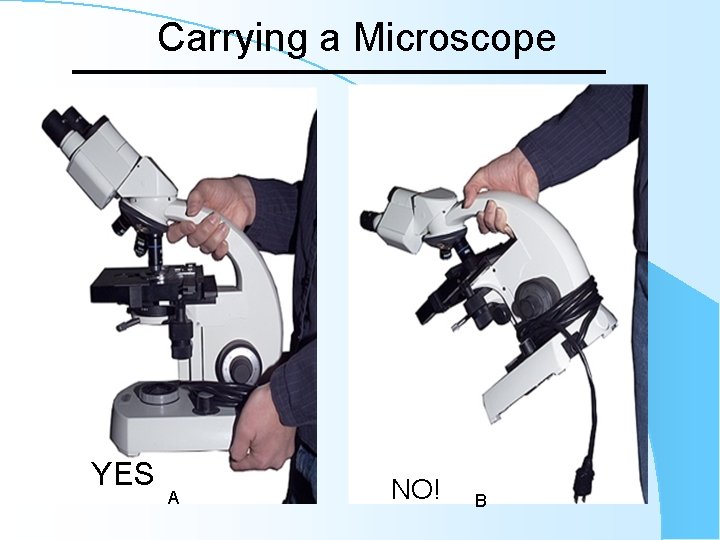 Carrying a Microscope YES A NO! B 