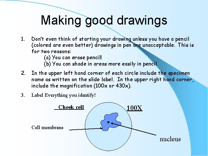 Making good drawings 1. Don’t even think of starting your drawing unless you have