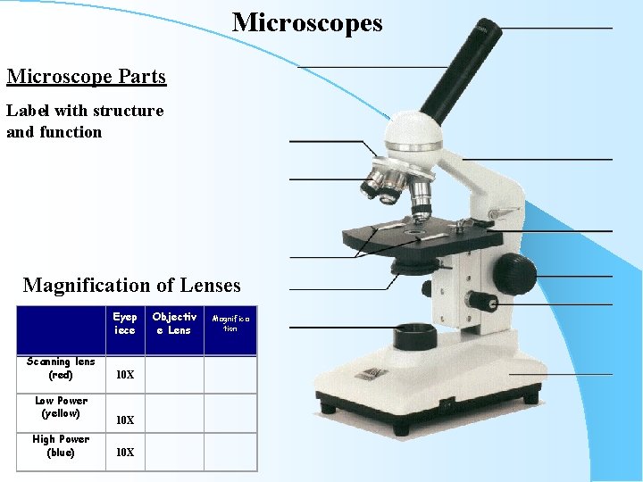 Microscopes Microscope Parts Label with structure and function Magnification of Lenses Scanning lens (red)