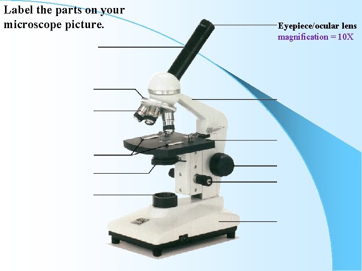 Label the parts on your microscope picture. Eyepiece/ocular lens magnification = 10 X 