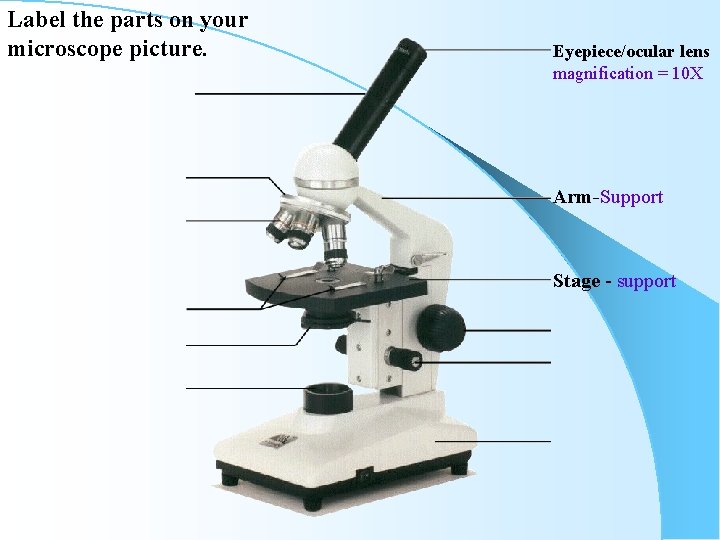 Label the parts on your microscope picture. Eyepiece/ocular lens magnification = 10 X Arm-Support