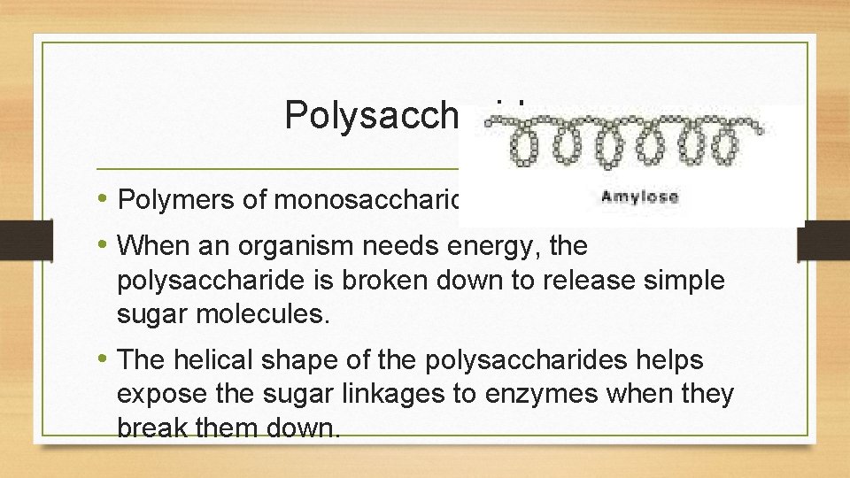 Polysaccharides • Polymers of monosaccharides. • When an organism needs energy, the polysaccharide is Polysaccharides • Polymers of monosaccharides. • When an organism needs energy, the polysaccharide is