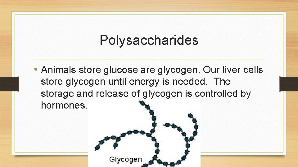 Polysaccharides • Animals store glucose are glycogen. Our liver cells store glycogen until energy Polysaccharides • Animals store glucose are glycogen. Our liver cells store glycogen until energy