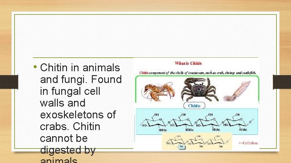 • Chitin in animals and fungi. Found in fungal cell walls and exoskeletons • Chitin in animals and fungi. Found in fungal cell walls and exoskeletons