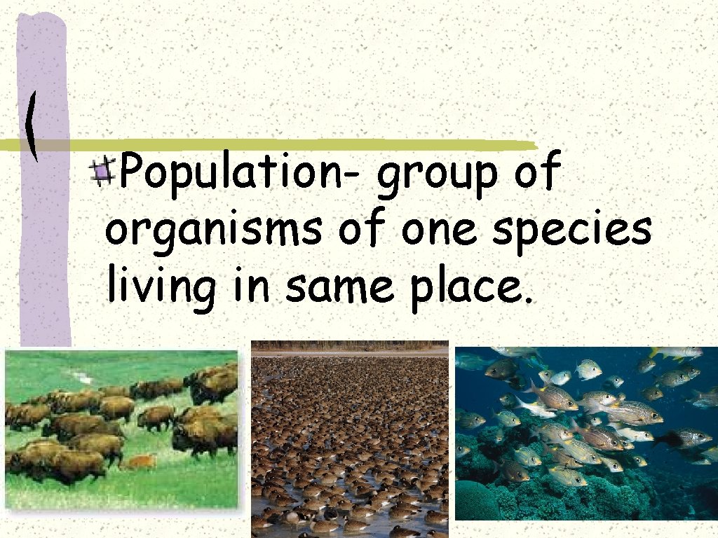 Population- group of organisms of one species living in same place. 