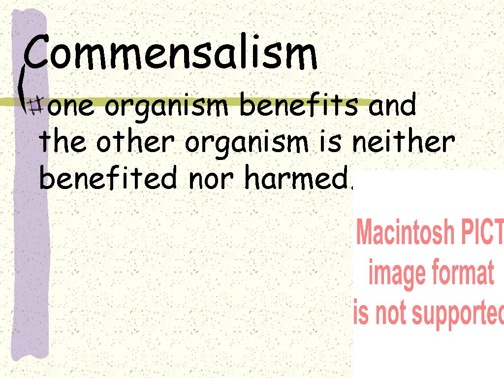 Commensalism one organism benefits and the other organism is neither benefited nor harmed. 