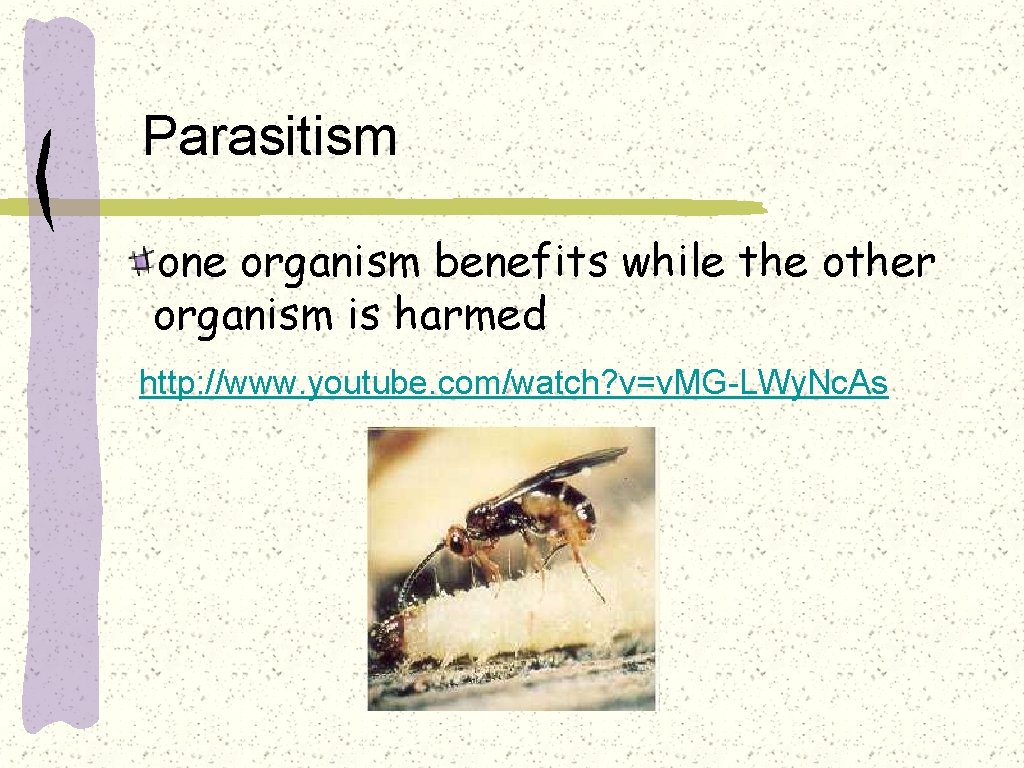 Parasitism one organism benefits while the other organism is harmed http: //www. youtube. com/watch?