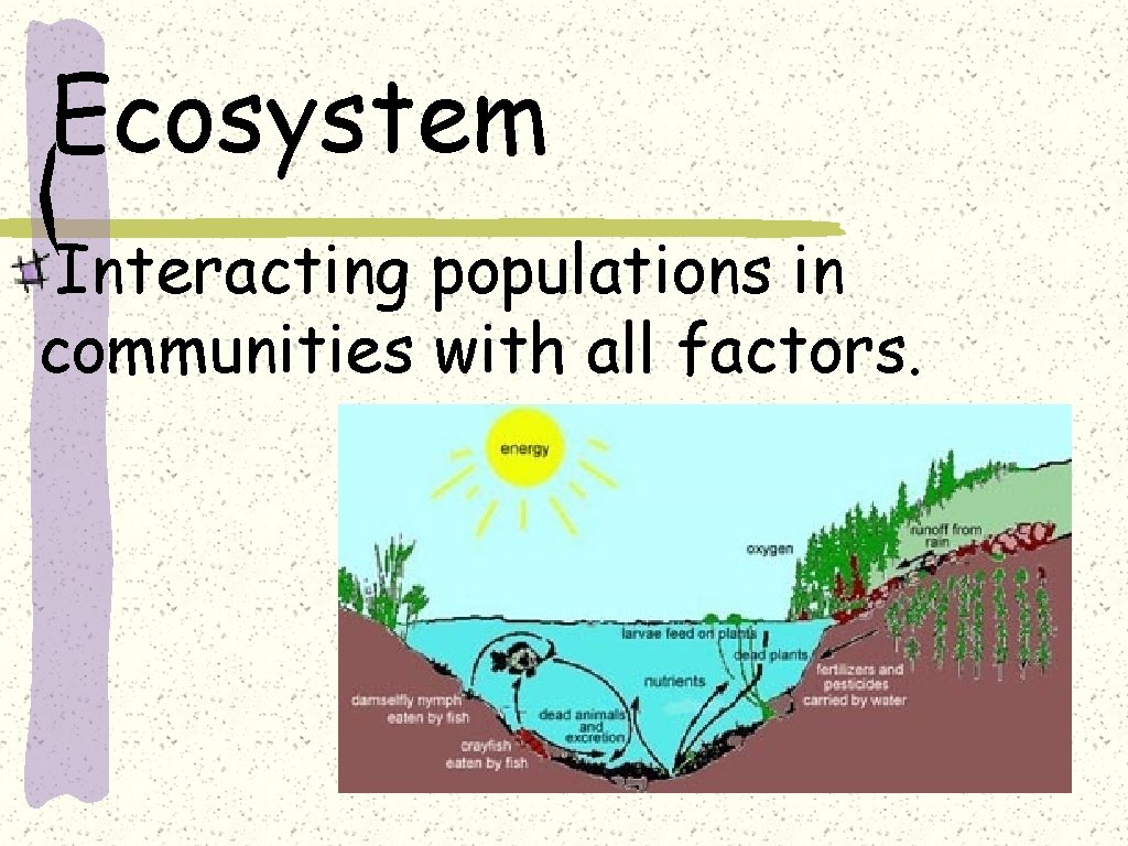 Ecosystem Interacting populations in communities with all factors. 