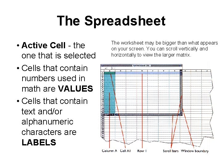 The Spreadsheet • Active Cell - the one that is selected • Cells that