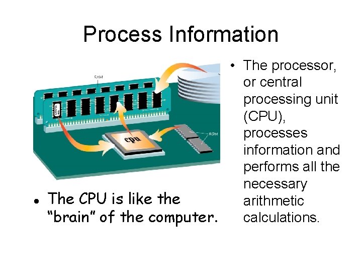 Process Information l • The processor, or central processing unit (CPU), processes information and