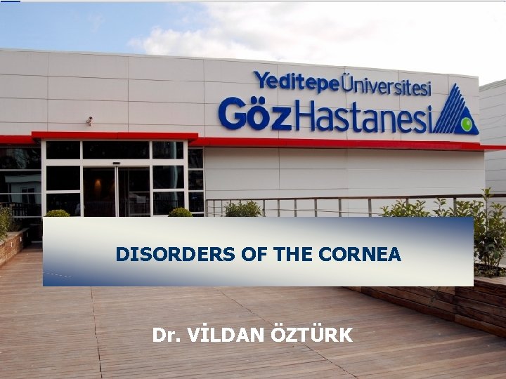 Yedtepe Nverstes Gz Hastanes Disorders Of The Cornea