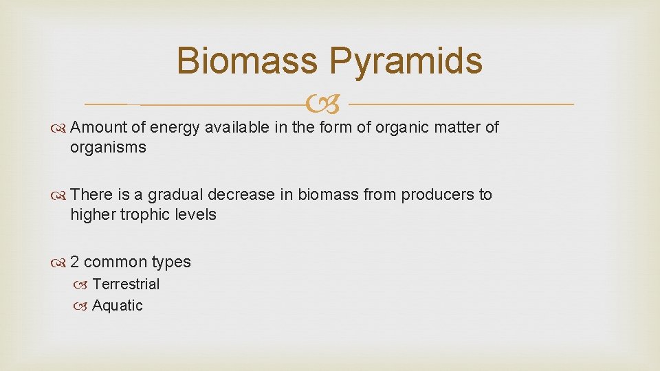 Biomass Pyramids Amount of energy available in the form of organic matter of organisms