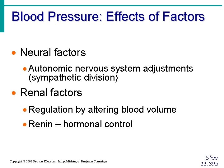 Blood Pressure: Effects of Factors · Neural factors · Autonomic nervous system adjustments (sympathetic