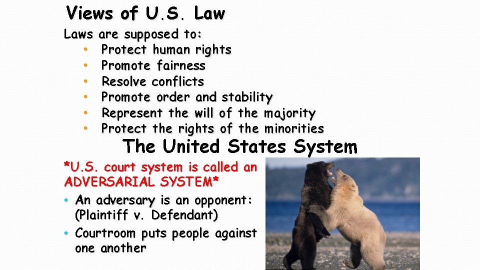 Views of U. S. Laws • • • are supposed to: Protect human rights