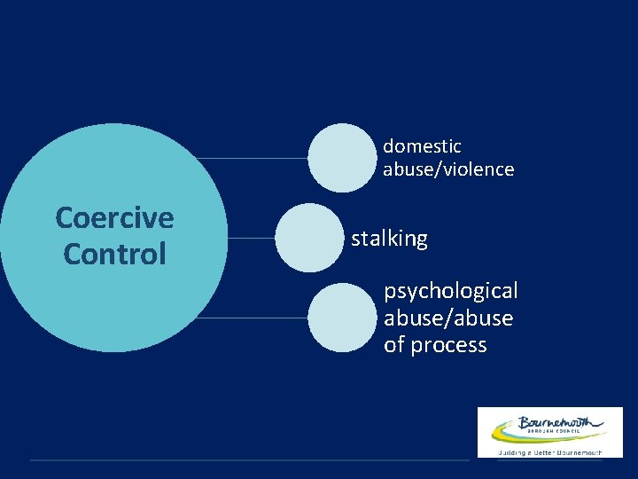 domestic abuse/violence Coercive Control stalking psychological abuse/abuse of process 