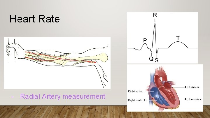 Heart Rate - Radial Artery measurement 