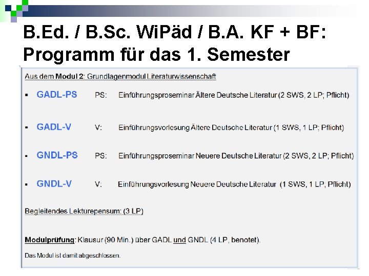 B. Ed. / B. Sc. Wi. Päd / B. A. KF + BF: Programm